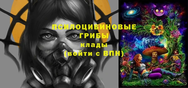 МДПВ Алексеевка
