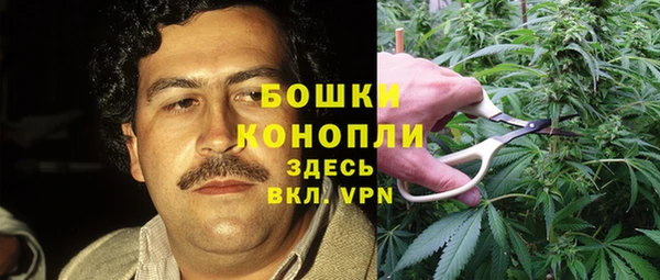 PSILOCYBIN Алексин