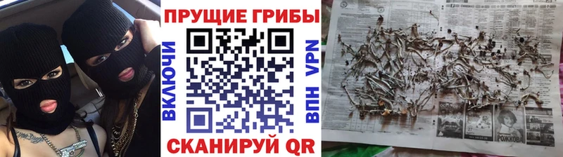 hydra зеркало  Липки  Псилоцибиновые грибы MAGIC MUSHROOMS 
